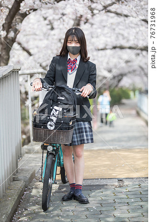 満開の桜の中、通学する女子高生 76731968
