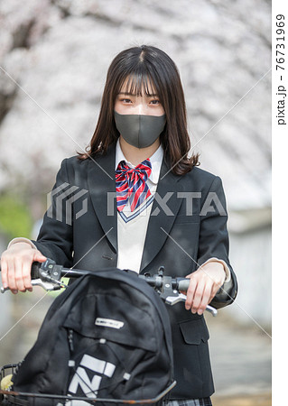 満開の桜の中、通学する女子高生 満開の桜の中、通学する女子高生 76731969