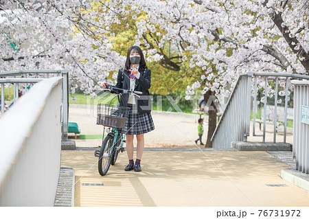 満開の桜の中、通学する女子高生 76731972