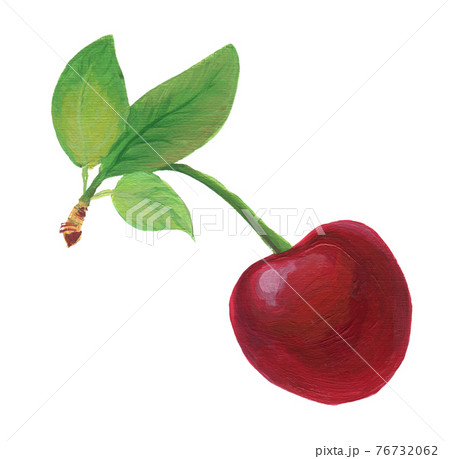 Fresh sweet cherry Fresh sweet cherry 76732062