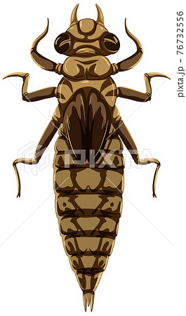 A dragonfly (Larva Stage) on white background 76732556