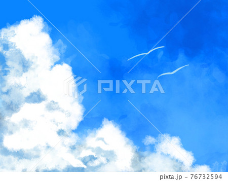 夏の空　鳥 76732594