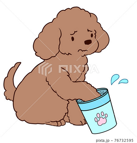 足を洗うのが嫌なプードル 76732595