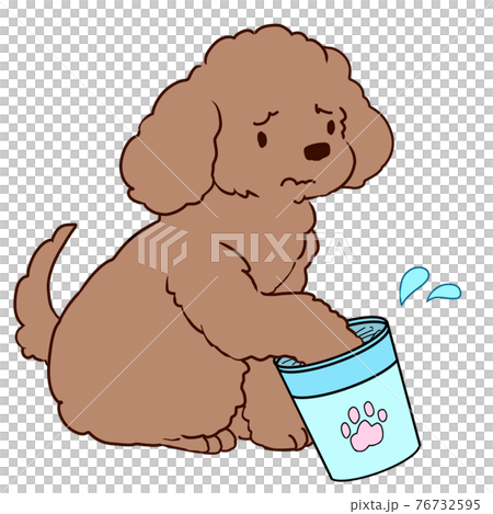 足を洗うのが嫌なプードル 76732595