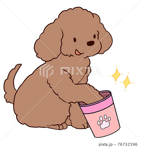 足を洗うご機嫌なプードル 76732596