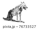 Hand drawn wolf, sketch graphics monochrome illustration 76733527