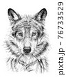 Hand drawn wolf, sketch graphics monochrome illustration 76733529