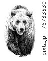 Hand drawn bear, sketch graphics monochrome illustration on white background (originals, no tracing) 76733530