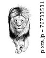 Hand drawn lion, sketch graphics monochrome illustration 76733531