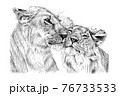 Hand drawn two love lion, sketch graphics monochrome illustration 76733533