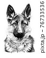 Hand drawn German Shepherd dog, sketch graphics monochrome illustration 76733536