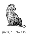Hand drawn leopard, sketch graphics monochrome illustration on white background 76733538