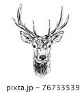 Hand drawn deer, sketch graphics monochrome illustration 76733539