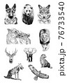 Set of ten animals, hand drawn illustrations 76733540