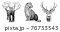 Hand drawn leopard, sketch graphics monochrome illustration on white background 76733543