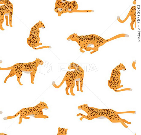 Running and hunting cheetah, spotted leopards Running and hunting cheetah, spotted leopards 76735033