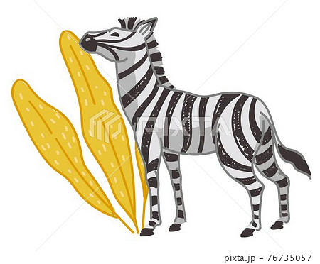 Zebra animal eating fresh grass or leaves of bush 76735057