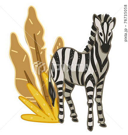 Zebra with foliage of bushes, flora and fauna 76735058