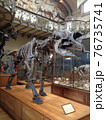 恐竜の標本がある博物館 76735741