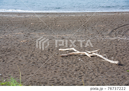 波打ち際と砂浜の流木 オホーツク海の写真素材 [76737222] - PIXTA