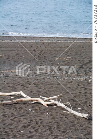 波打ち際と砂浜の流木　オホーツク海 76737223