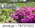 ツツジとランニングの春日和の休日 76737422