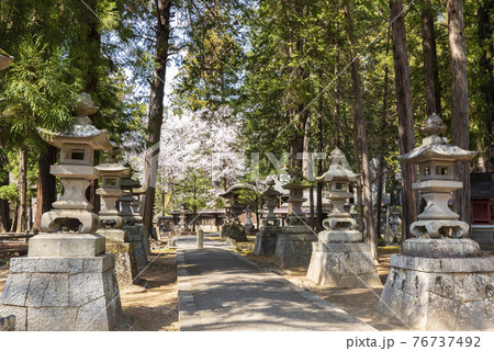 桜が映える春の恵林寺 桜が映える春の恵林寺 76737492