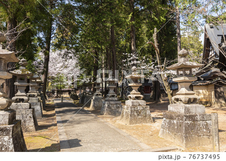 桜が映える春の恵林寺の写真素材 桜が映える春の恵林寺の写真素材