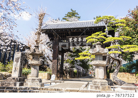 桜が映える春の恵林寺の写真素材