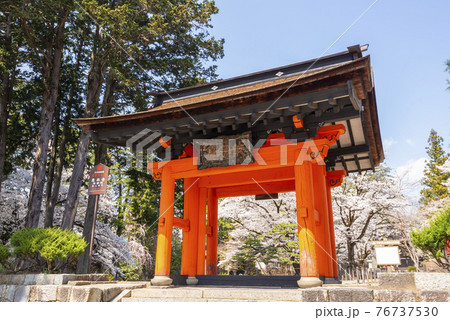 桜が映える春の恵林寺 76737530
