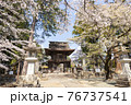 桜が映える春の恵林寺 76737541