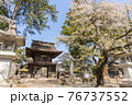 桜が映える春の恵林寺 76737552