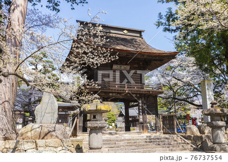 桜が映える春の恵林寺 桜が映える春の恵林寺 76737554