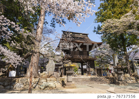 桜が映える春の恵林寺 76737556