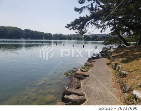 都会のオアシス。初夏の日差しが水面を彩る都心の公園。 都会のオアシス。初夏の日差しが水面を彩る都心の公園。 76737690