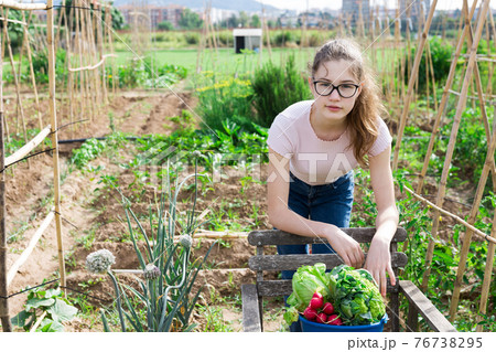 Teenage girl with freshly picked vegetables in family garden Teenage girl with freshly picked vegetables in family garden 76738295