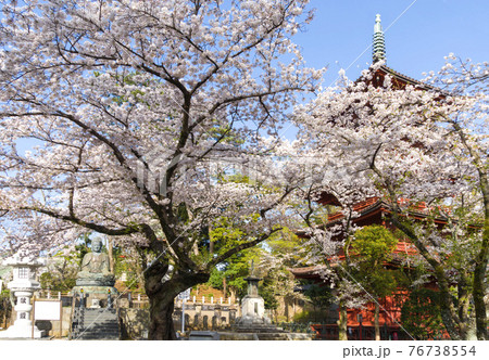 中山法華経寺 中山法華経寺 76738554