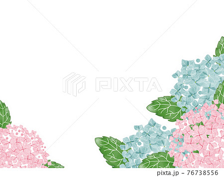 手書き水彩のピンクとブルーの紫陽花のフレーム華やか背景のイラスト素材
