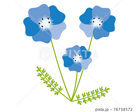青い花のベクターイラスト ネモフィラ 背景のイラスト素材