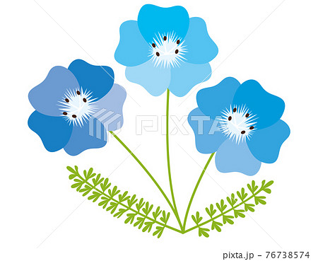 青い花のベクターイラスト ネモフィラ 背景のイラスト素材