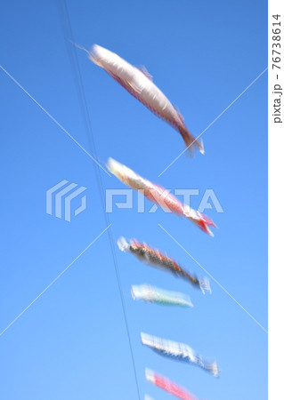 こいのぼりのイメージ 76738614