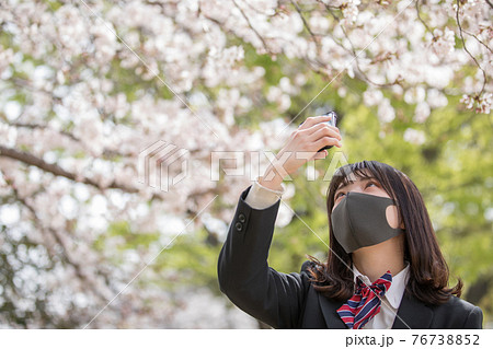 桜を写メする女子高生 桜を写メする女子高生 76738852