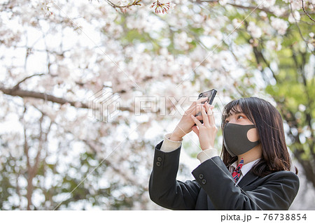 桜を写メする女子高生 桜を写メする女子高生 76738854