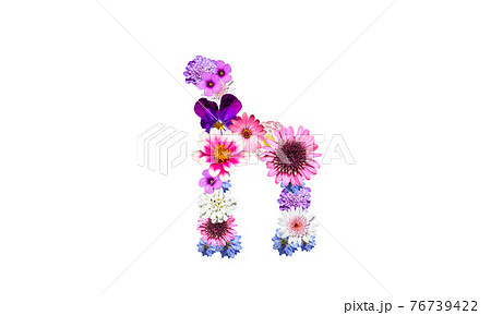 花でデコレーションしたアルファベットの小文字のh(花文字) 花でデコレーションしたアルファベットの小文字のh(花文字) 76739422