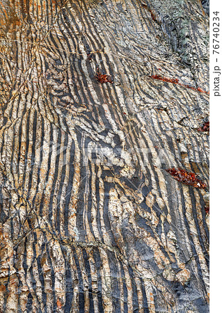 地球科學教材 12月褶皺結構 足尾山海圖圖層示例 照片素材 圖片 圖庫