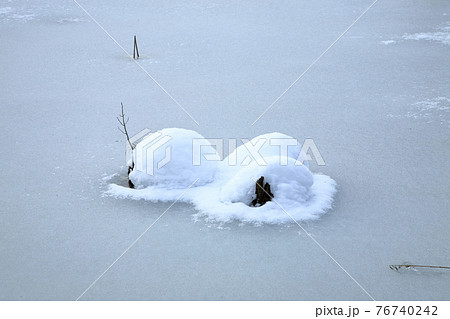 壁紙用 12月 雪と氷がつくる模様 鳥海山山麓 の写真素材