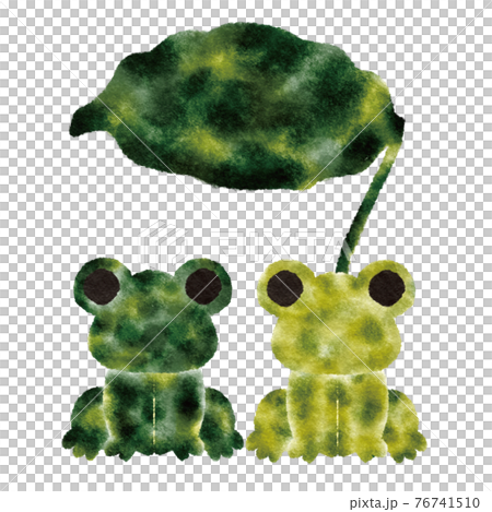 青蛙/雨 青蛙/雨 76741510