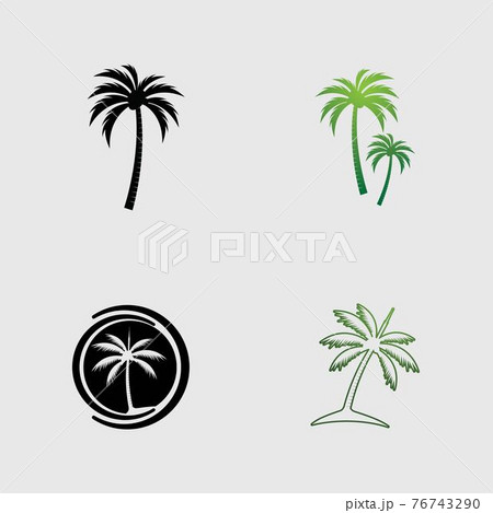 Palm tree logo template vector 76743290