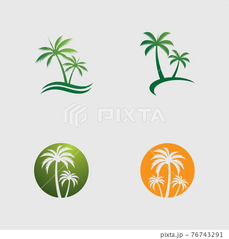 Palm tree logo template vector 76743291