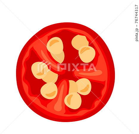 Hot Chilly Pepper Cross Section Isolated On のイラスト素材